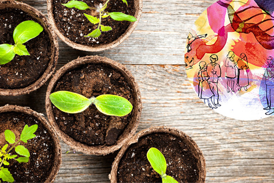 Gröna plantor som växer