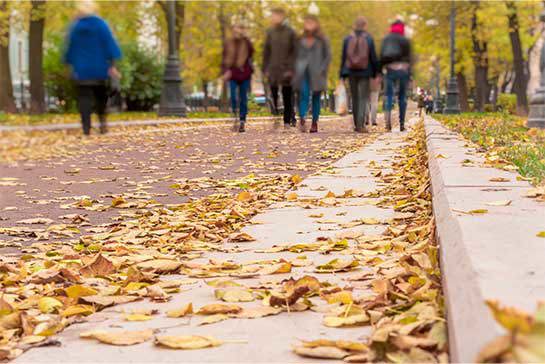 En väg full av höstlöv, folk som promenerar