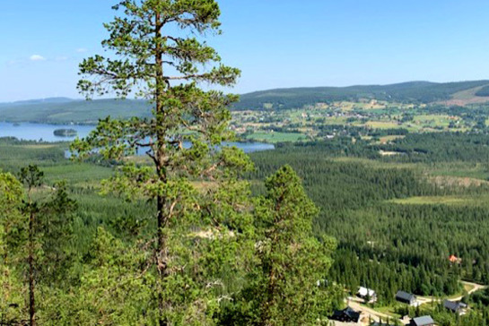 Fjällen i Klövsjö